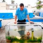 Brent Scheiwe California State Long Beach Science Lab Supervisor