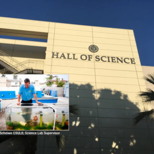 Brent Scheiwe CSULB. Science Lab Supervisor