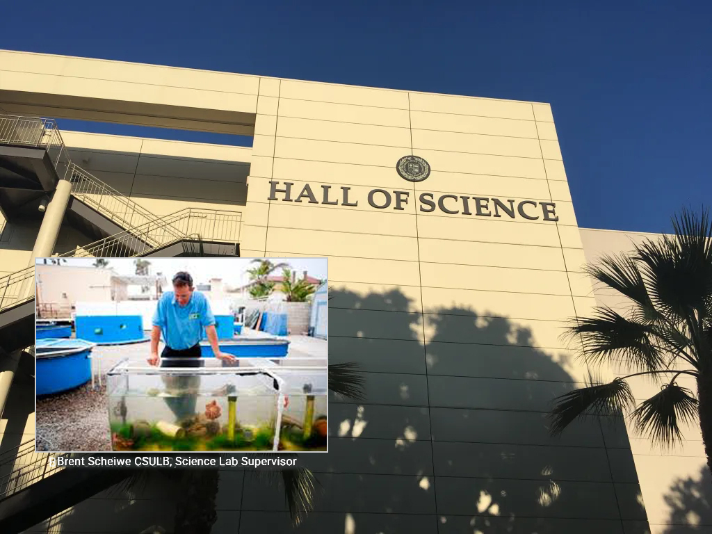 Brent Scheiwe CSULB. Science Lab Supervisor