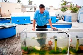 Brent Scheiwe California State Long Beach Science Lab Supervisor